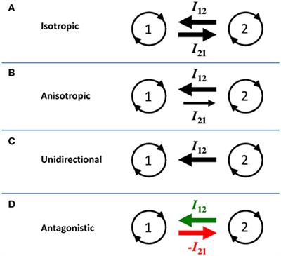 Anisotropy and Antagonism in the Coupling of Two Oscillators: Concepts and Applications for Between-Person Coordination